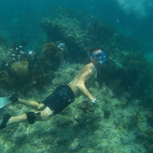 Meet your Posher, Philip - Picture 1 of 1